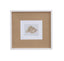 Bassett White Neutral Shell Fresco II Framed Print