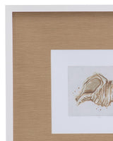 Bassett White Neutral Shell Fresco II Framed Print