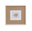 Bassett White Neutral Shell Fresco III Framed Print