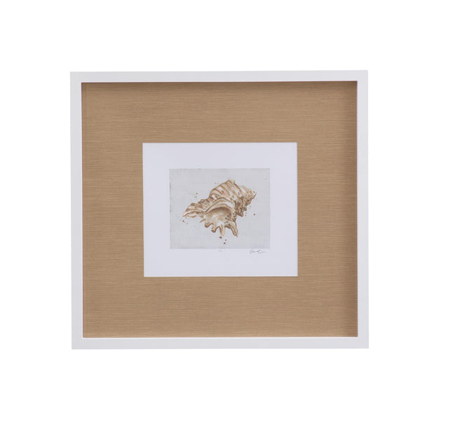 Bassett White Neutral Shell Fresco III Framed Print