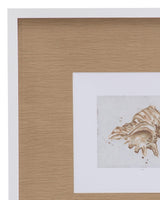 Bassett White Neutral Shell Fresco III Framed Print
