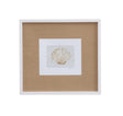 Bassett White Neutral Shell Fresco IV Framed Print