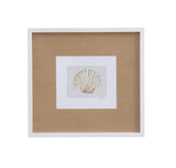 Bassett White Neutral Shell Fresco IV Framed Print