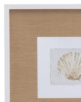 Bassett White Neutral Shell Fresco IV Framed Print