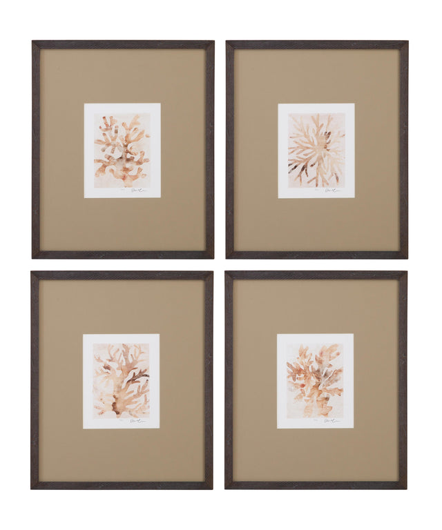 Bassett Brown Parchment Coral Framed Print Set of 4