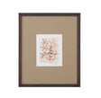 Bassett Brown Parchment Coral I Framed Print