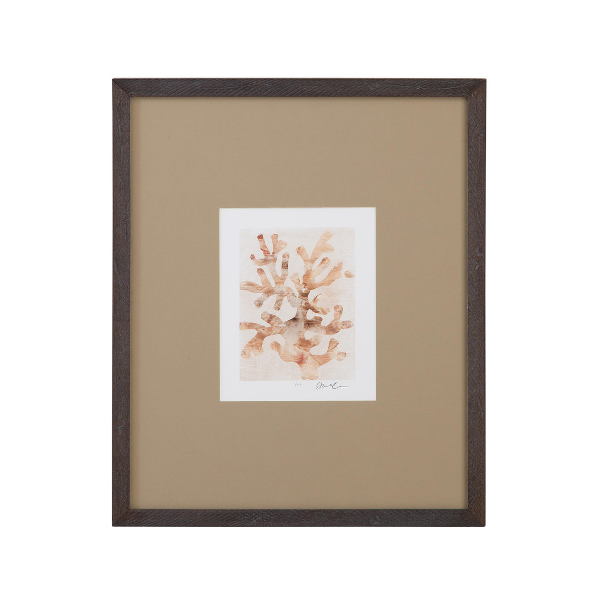 Bassett Brown Parchment Coral I Framed Print