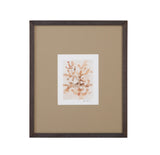 Bassett Brown Parchment Coral I Framed Print
