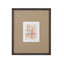 Bassett Brown Parchment Coral I Framed Print