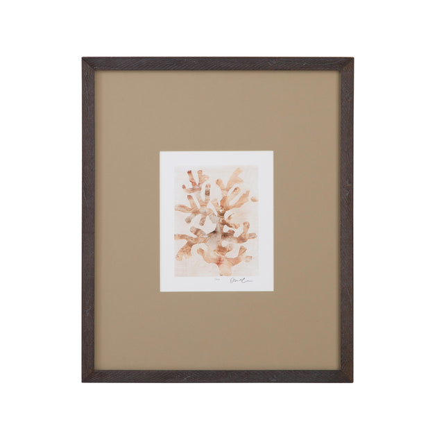 Bassett Brown Parchment Coral I Framed Print