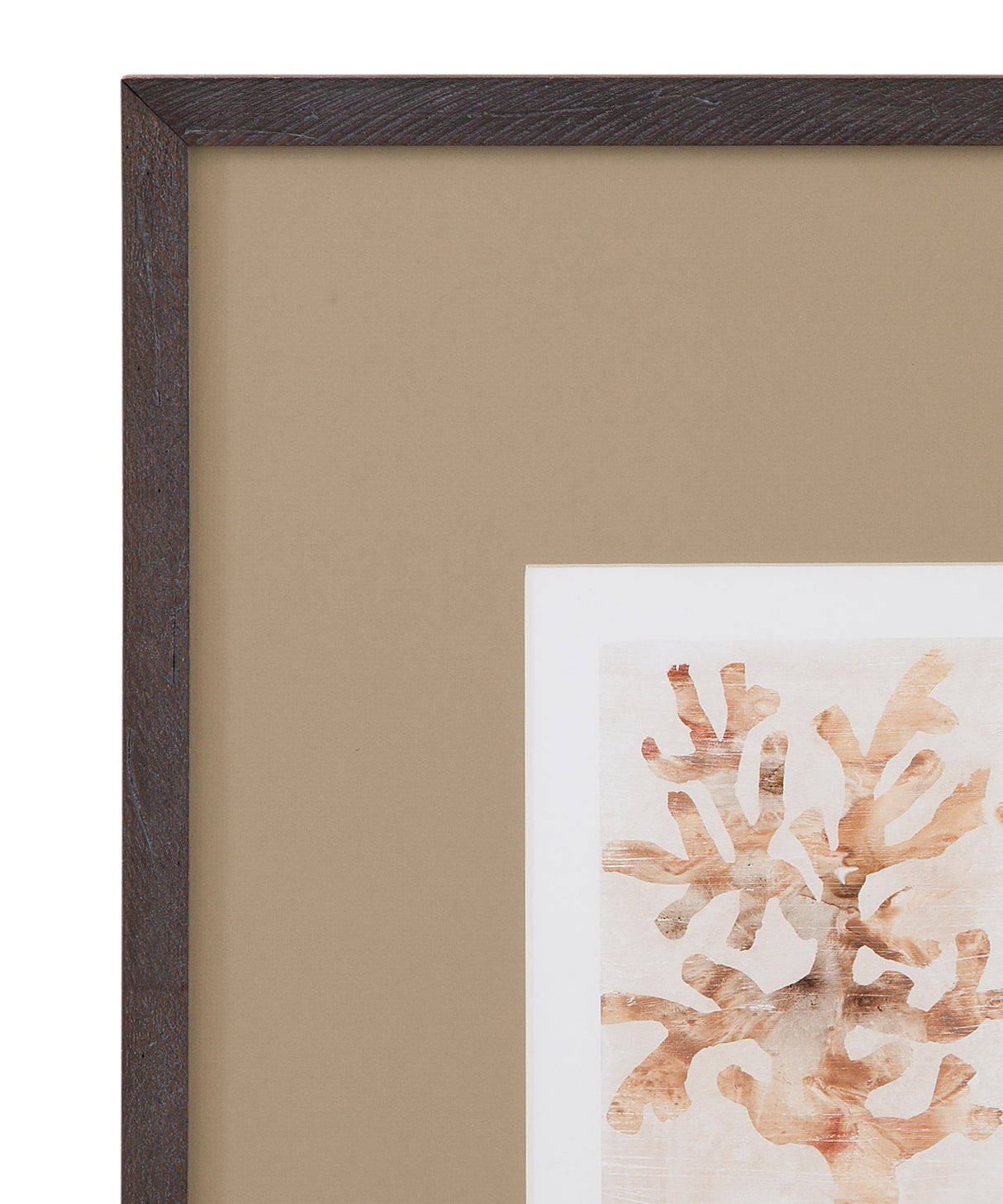 Bassett Brown Parchment Coral I Framed Print