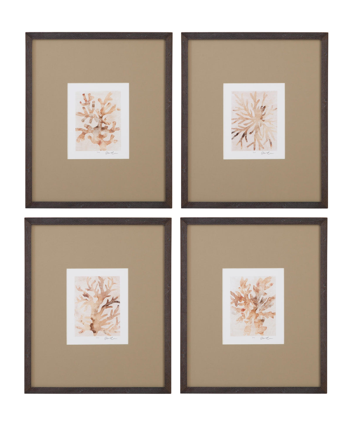 Bassett Brown Parchment Coral I Framed Print