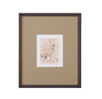 Bassett Brown Parchment Coral II Framed Print