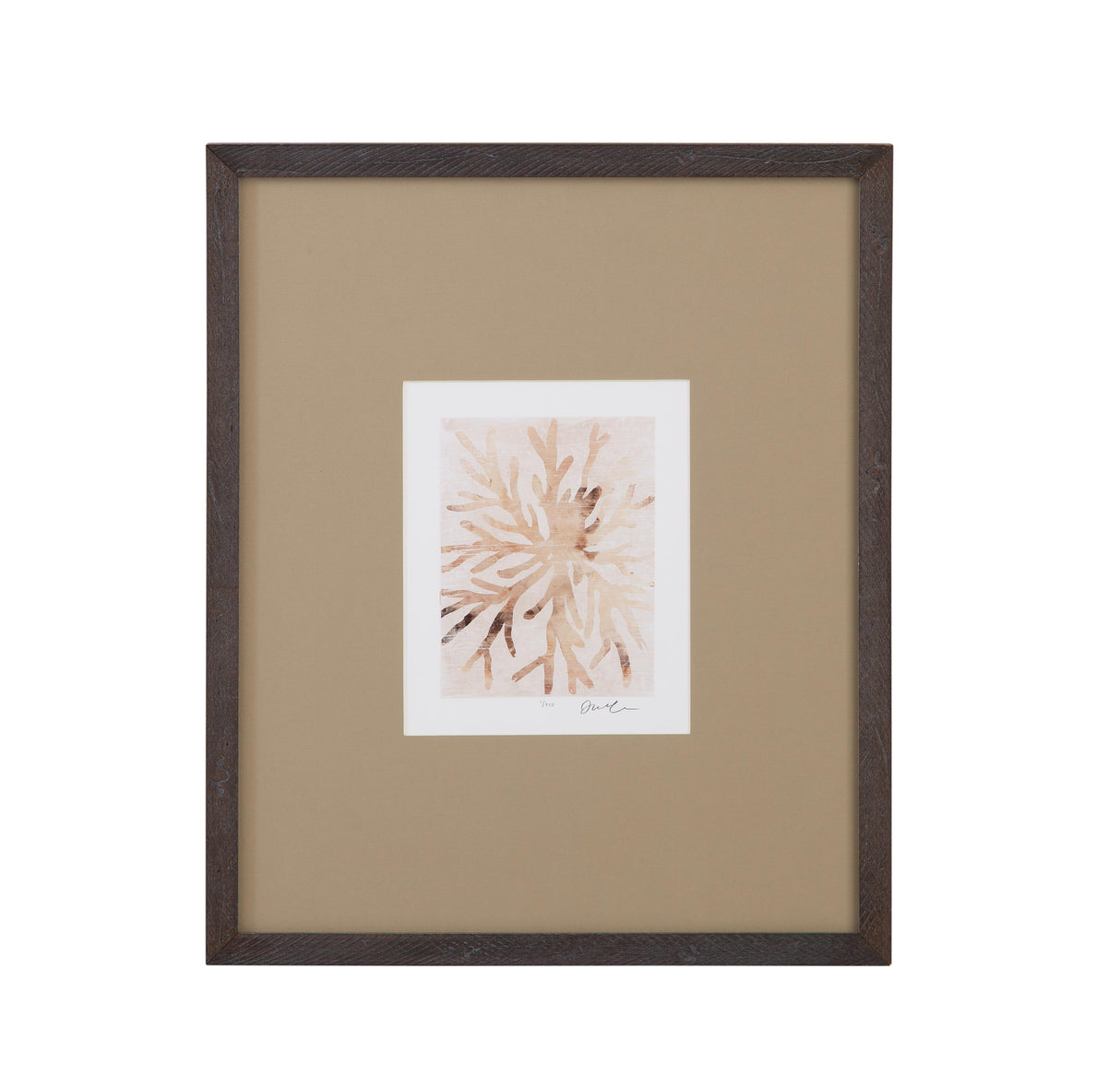 Bassett Brown Parchment Coral II Framed Print
