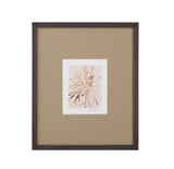Bassett Brown Parchment Coral II Framed Print