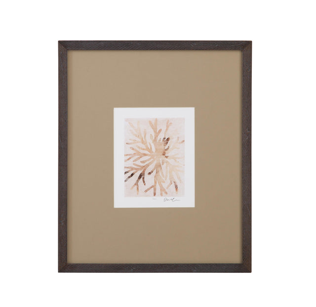 Bassett Brown Parchment Coral II Framed Print