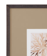 Bassett Brown Parchment Coral II Framed Print