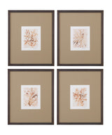 Bassett Brown Parchment Coral II Framed Print