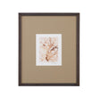 Bassett Brown Parchment Coral III Framed Print