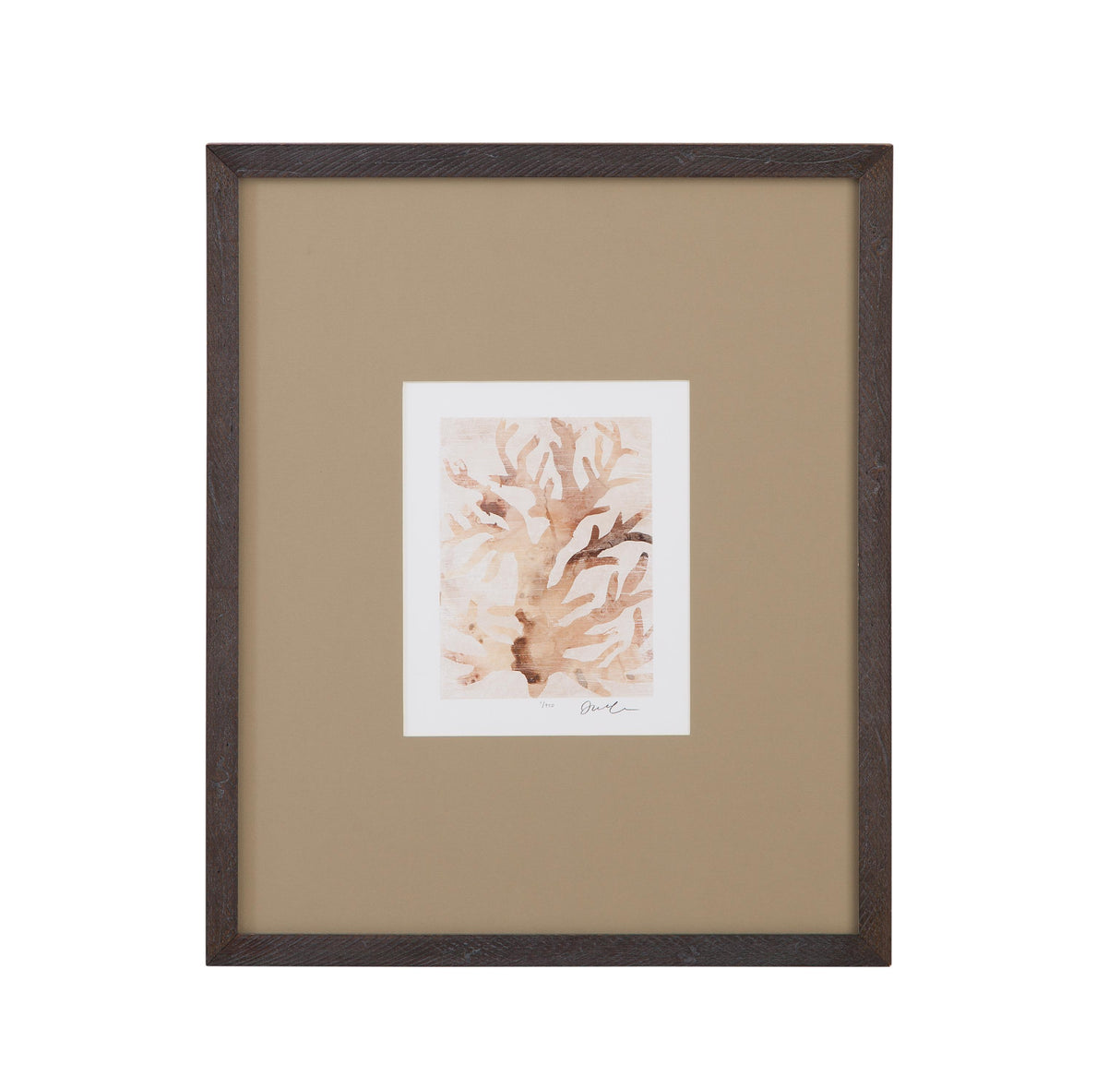 Bassett Brown Parchment Coral III Framed Print