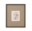 Bassett Brown Parchment Coral III Framed Print
