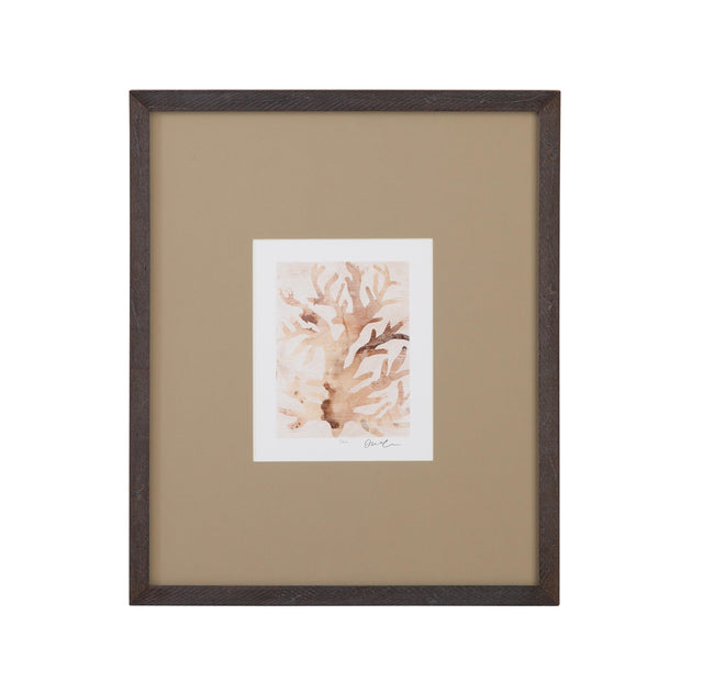 Bassett Brown Parchment Coral III Framed Print