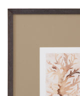 Bassett Brown Parchment Coral III Framed Print