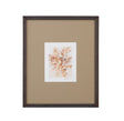 Bassett Brown Parchment Coral IV Framed Print