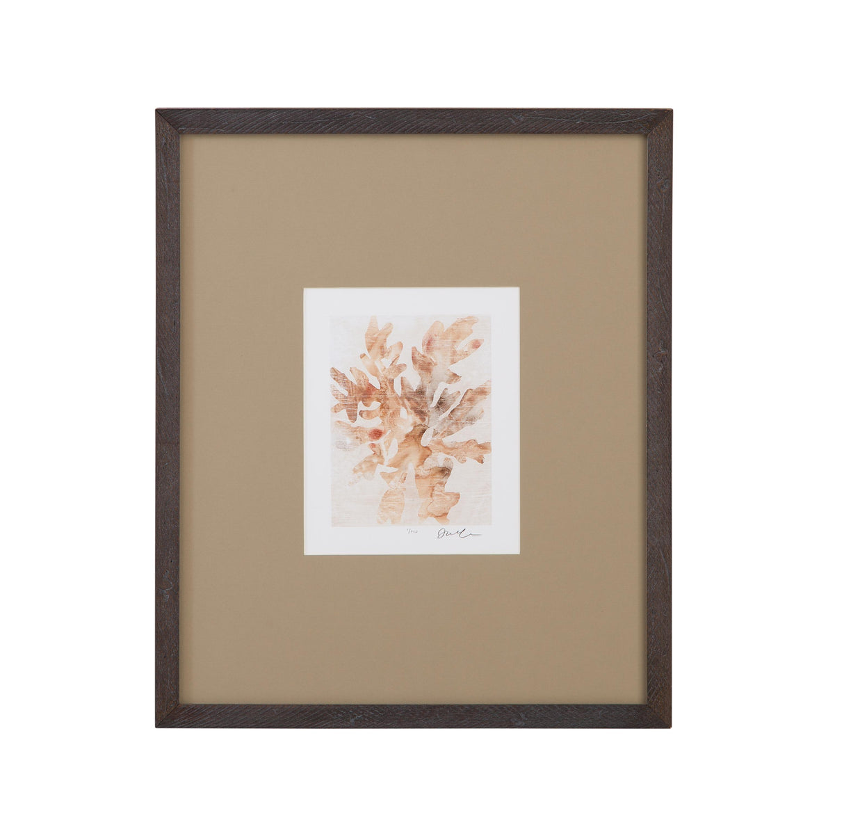 Bassett Brown Parchment Coral IV Framed Print