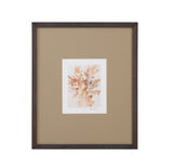 Bassett Brown Parchment Coral IV Framed Print