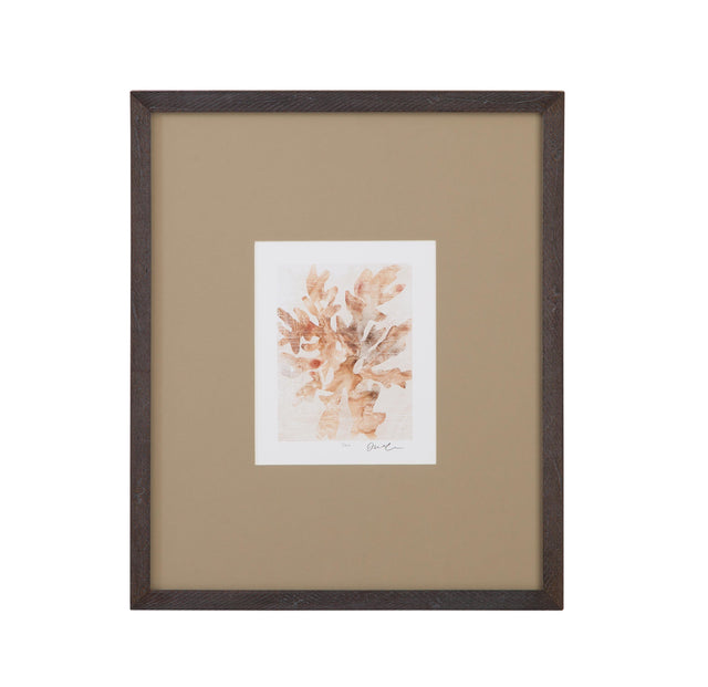 Bassett Brown Parchment Coral IV Framed Print