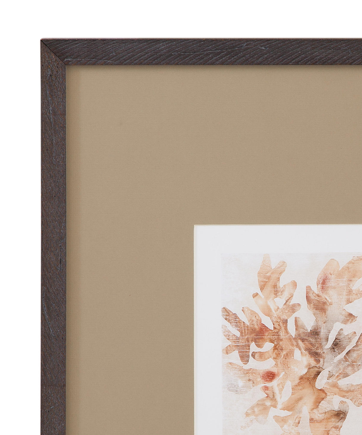 Bassett Brown Parchment Coral IV Framed Print