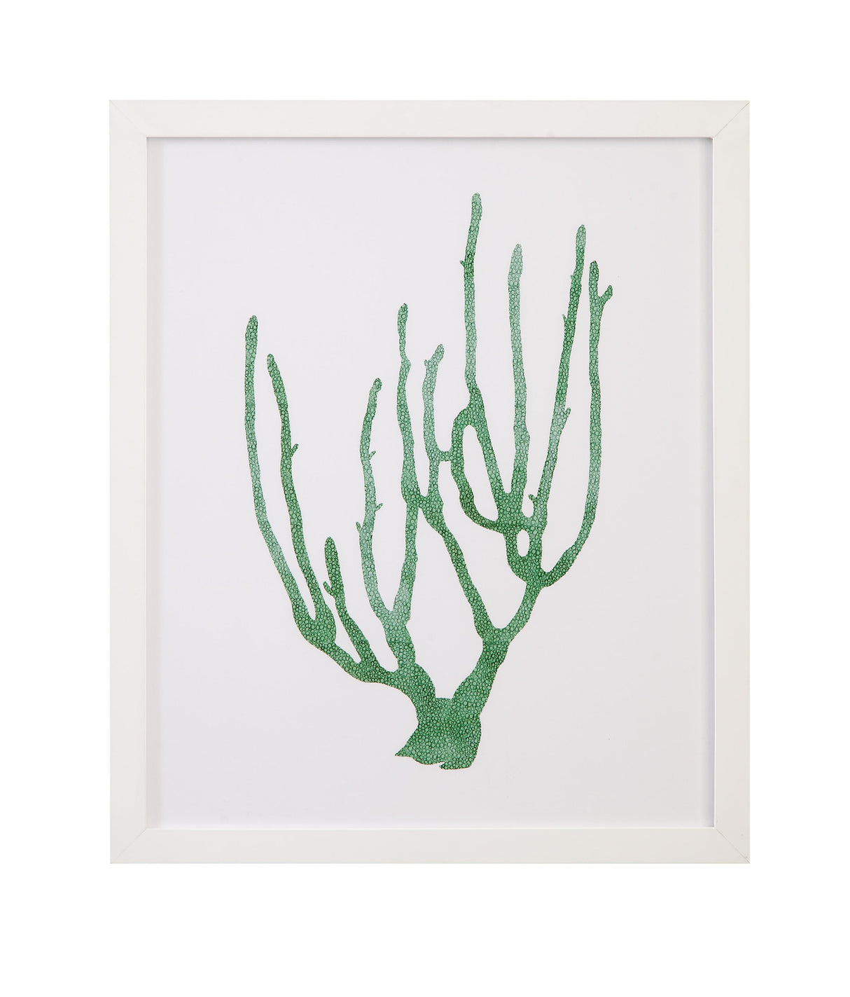 Bassett Green Coral Souvenirs II Framed Print