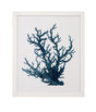 Bassett Green Coral Souvenirs IV Framed Print