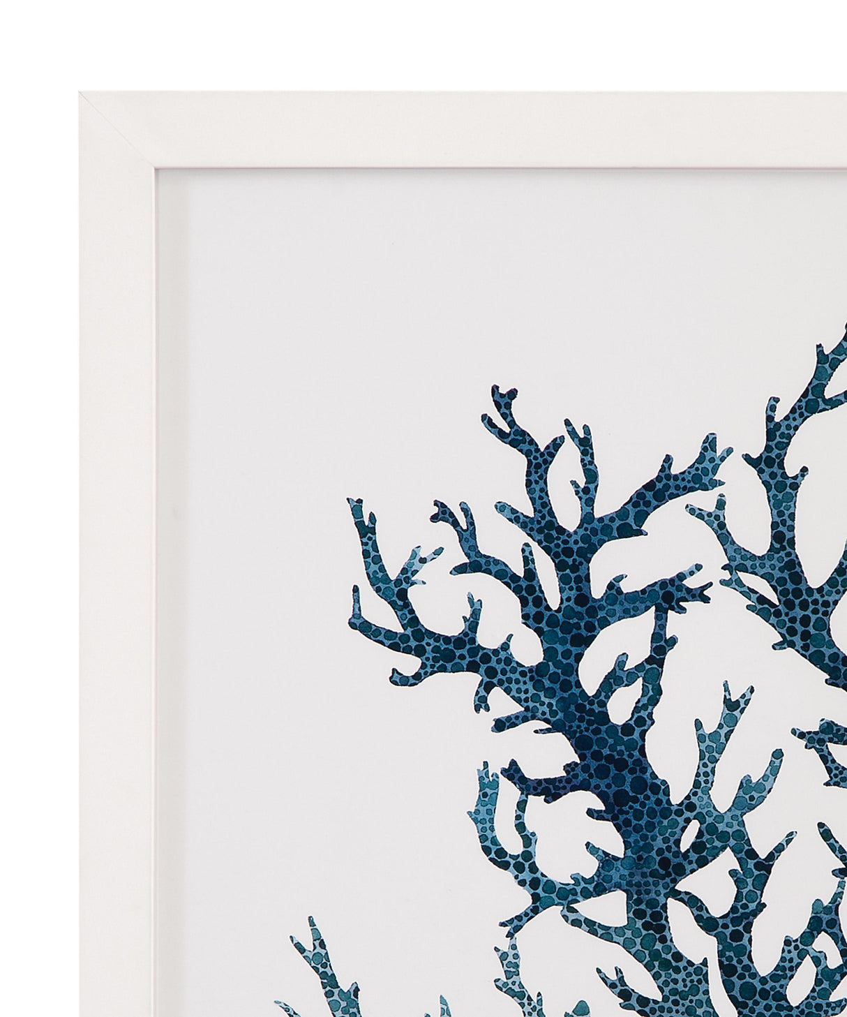Bassett Green Coral Souvenirs IV Framed Print