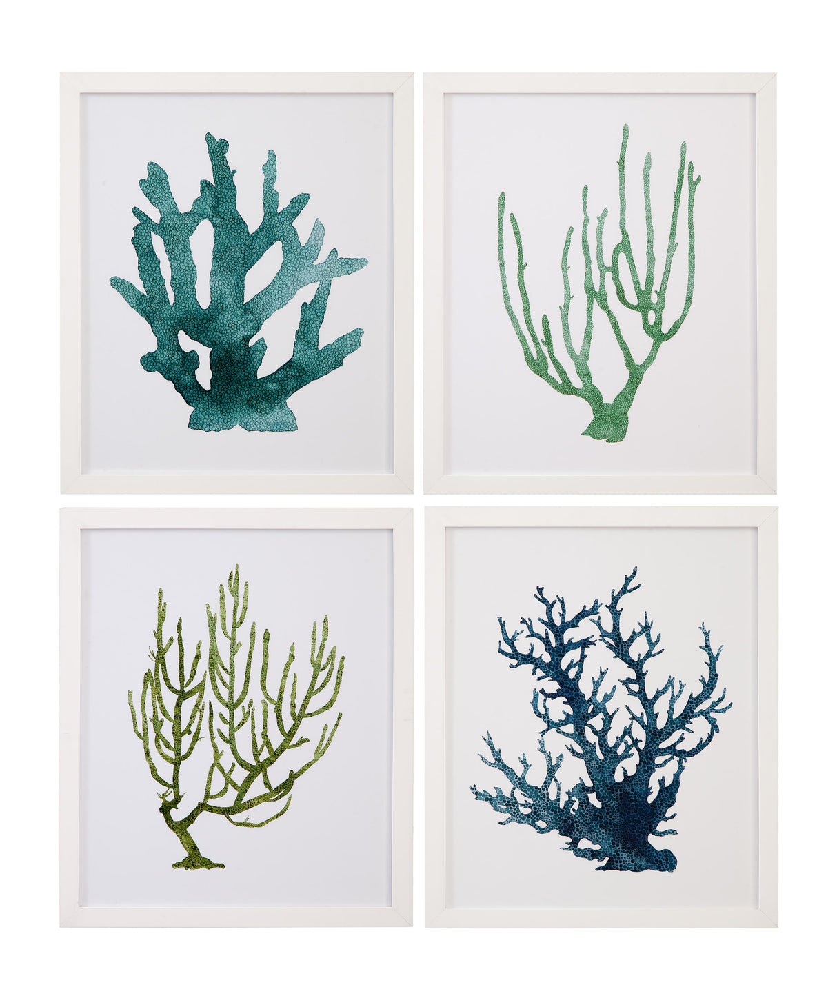Bassett Green Coral Souvenirs IV Framed Print