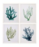 Bassett Green Coral Souvenirs IV Framed Print