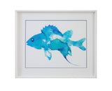 Bassett Blue Watercolor Fish I Framed Print