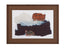 Bassett Brown Goldenrod Patch I Framed Print