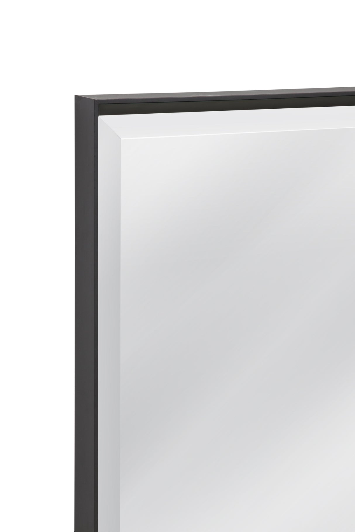 Bassett Black Sloan Floor Mirror