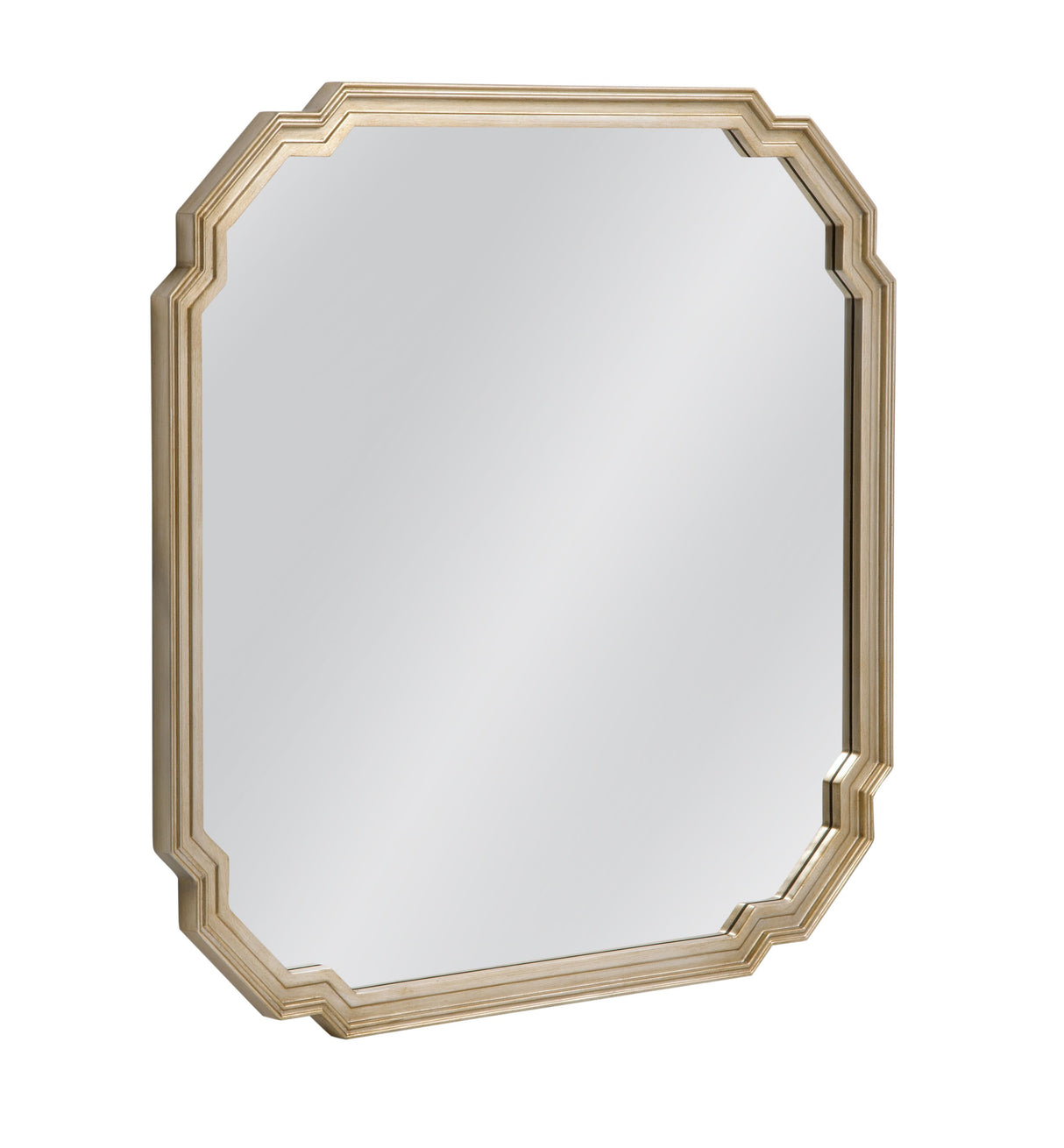 Bassett Silver Mimosa Wall Mirror