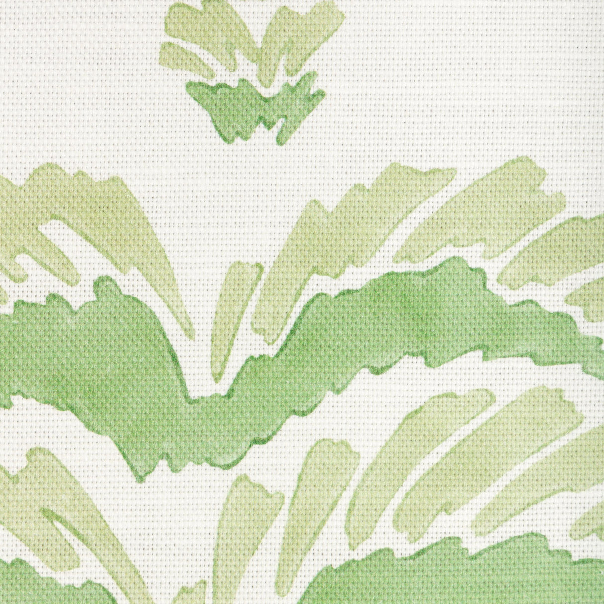 Brunschwig & Fils PONCHETTE PRINT LEAF Fabric