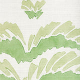 Brunschwig & Fils PONCHETTE PRINT LEAF Fabric