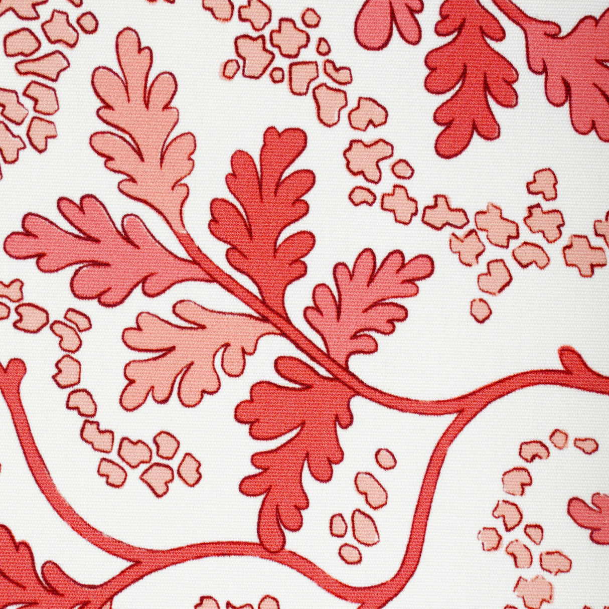 Brunschwig & Fils AUREILLE PRINT BERRY Fabric
