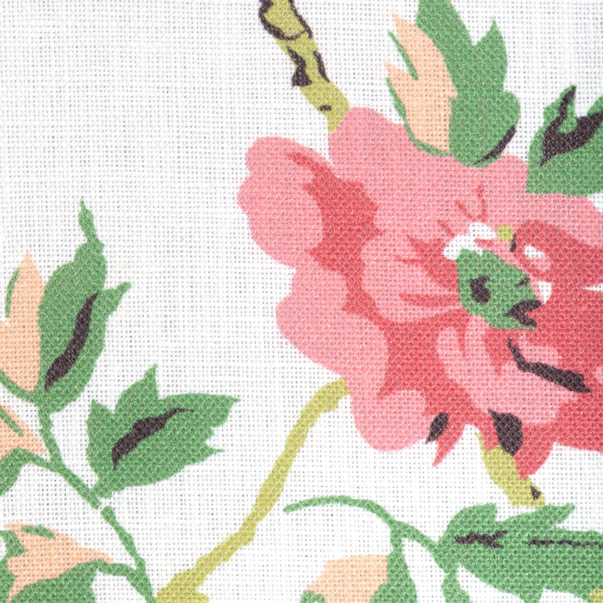 Brunschwig & Fils LOCKLIN PRINT SPRING Fabric