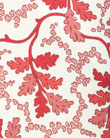 Brunschwig & Fils AUREILLE BERRY Wallpaper