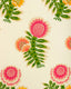 Brunschwig & Fils KUMALY SPRING Wallpaper