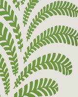 Brunschwig & Fils VEZERE GREEN Wallpaper