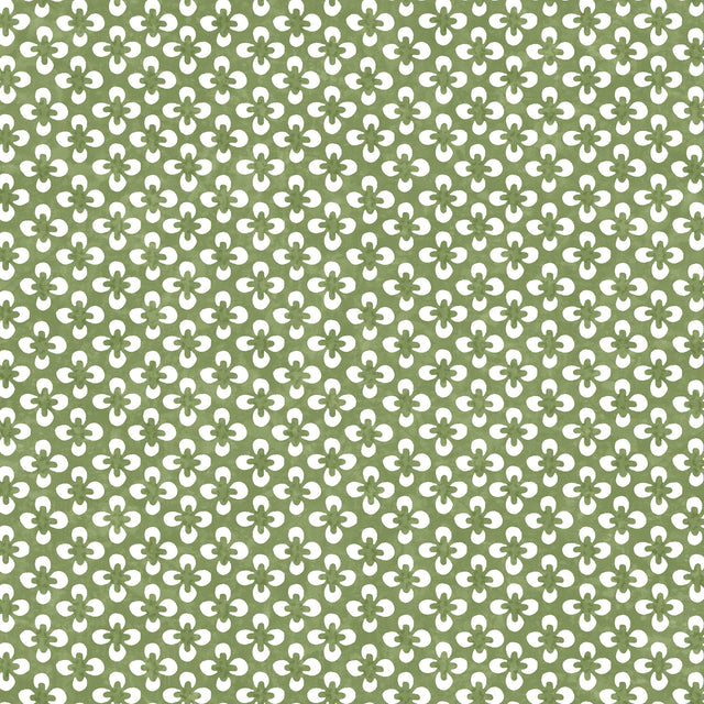 Maxwell RYDER (WP) #302 ALOE Wallpaper