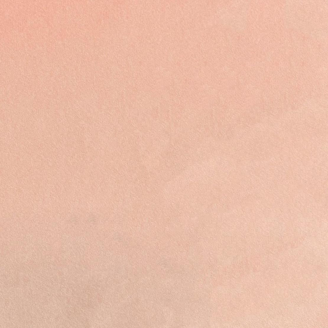 Maxwell BIELLA-ESS #211 BALLERINA Upholstery Fabric